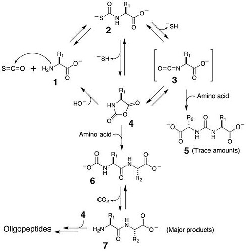 COS Polypeptide Reaction Mechanism Scheme 1