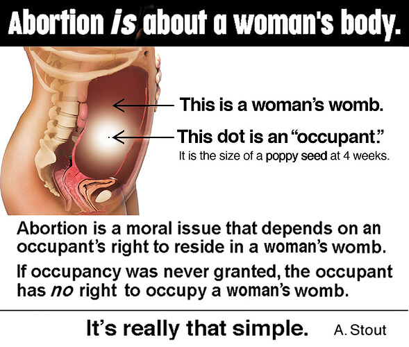 Abortion 101 Fetus