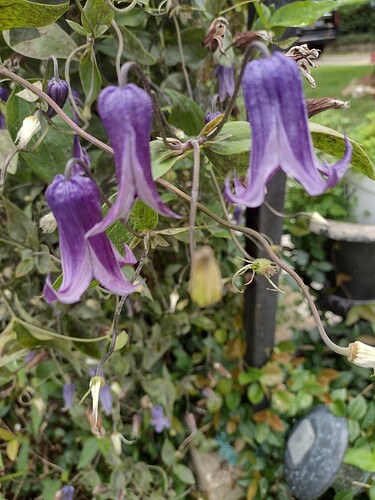 IMG_20220610_141426857_HDR