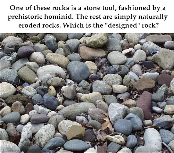 Which Of These Rocks Is Designed 2025 Version