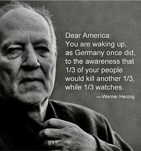 The USA Is Now 1930s Germany