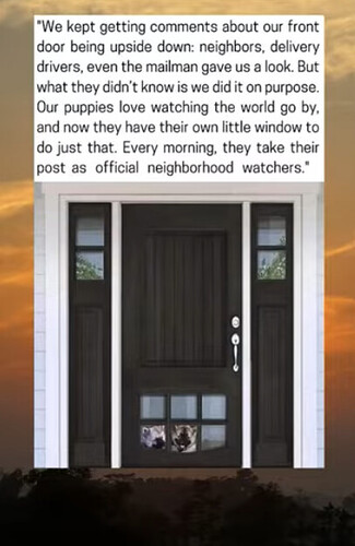 Upside down dog door window