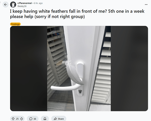 fuck