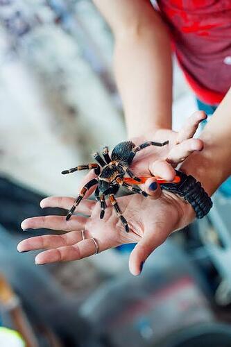 17713310798376645824213790100048