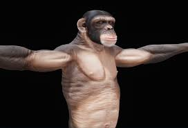 Hairless