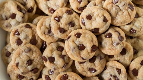 chocolate-chip-cookie-bites-final-srgb.-480x270