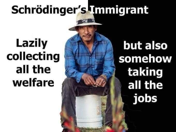 [Image: ce9cc9e6315812baeea988b371d40b3d77d693bc.jpeg]