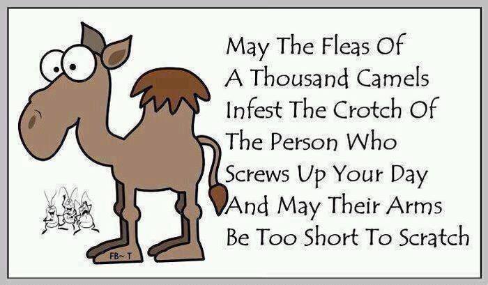 420092688_10161179513583850_337432504391741157_n