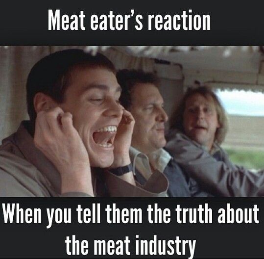 cf229963a15b244a655bcbe6dbd5cff71